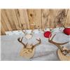 Image 4 : 7 Sets Of Whitetail Antlers On Plaques
