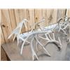 Image 2 : 19 Lbs Of Whitetail Shed Antlers