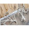 Image 3 : 19 Lbs Of Whitetail Shed Antlers