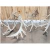 Image 4 : 19 Lbs Of Whitetail Shed Antlers