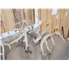 Image 5 : 19 Lbs Of Whitetail Shed Antlers