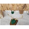 Image 4 : 6 Sets Of Whitetail Antlers On Plaques