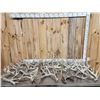 Image 1 : 37.1 Lbs Of Whitetail Shed Antlers