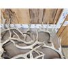 Image 3 : 37.1 Lbs Of Whitetail Shed Antlers
