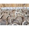 Image 5 : 35.7 Lbs Of Whitetail Antlers