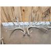 Image 5 : 5 Sets Of Whitetail Shed Antlers