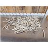 Image 1 : 17.4 Lbs Of Deer Antler Chunks
