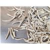 Image 2 : 17.4 Lbs Of Deer Antler Chunks