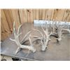 Image 2 : 5 Sets Of Whitetail Shed Antlers