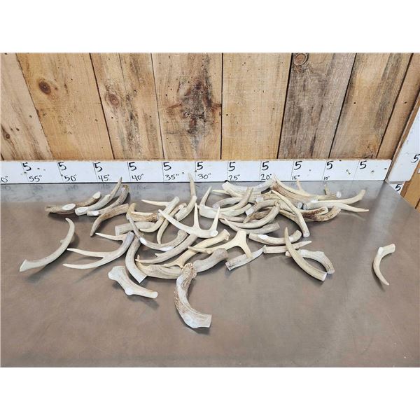 10.6 Lbs Of Whitetail Antler Chunks Dog Chews