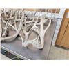 Image 2 : 30.7 Lbs Of Whitetail Shed Antlers