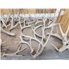 Image 3 : 30.7 Lbs Of Whitetail Shed Antlers