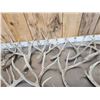 Image 6 : 30.7 Lbs Of Whitetail Shed Antlers