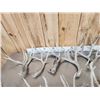 Image 8 : 30.7 Lbs Of Whitetail Shed Antlers