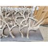 Image 2 : 38.4 Lbs Of Whitetail Shed Antlers