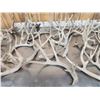 Image 7 : 38.4 Lbs Of Whitetail Shed Antlers