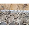 Image 8 : 38.4 Lbs Of Whitetail Shed Antlers