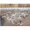 Image 1 : 46 Lbs Of Whitetail Antler Slabs & Chunks