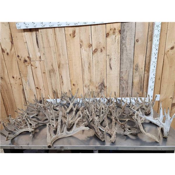 40.4 Lbs Of Cut Off Whitetail Antlers In Velvet