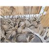 Image 3 : 40.4 Lbs Of Cut Off Whitetail Antlers In Velvet
