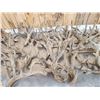 Image 4 : 40.4 Lbs Of Cut Off Whitetail Antlers In Velvet