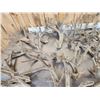 Image 8 : 40.4 Lbs Of Cut Off Whitetail Antlers In Velvet