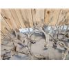 Image 9 : 40.4 Lbs Of Cut Off Whitetail Antlers In Velvet