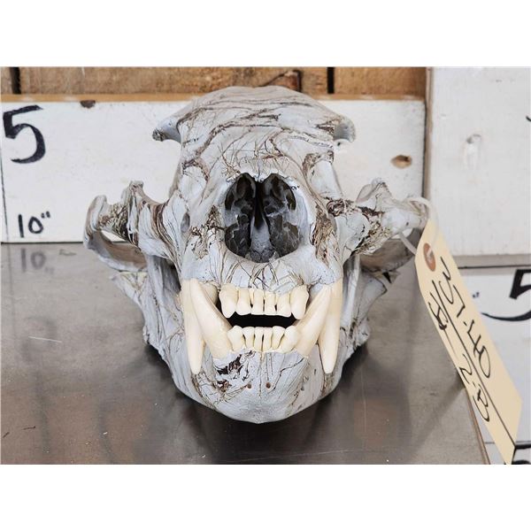 Cammo Dipped Black Bear Skull Taxidermy