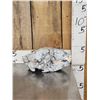 Image 2 : Cammo Dipped Black Bear Skull Taxidermy