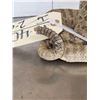 Image 3 : Rattlesnake Full Body Taxidermy Mount