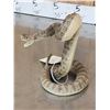 Image 5 : Rattlesnake Full Body Taxidermy Mount