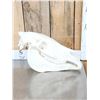 Image 3 : Zebra Skull Taxidermy