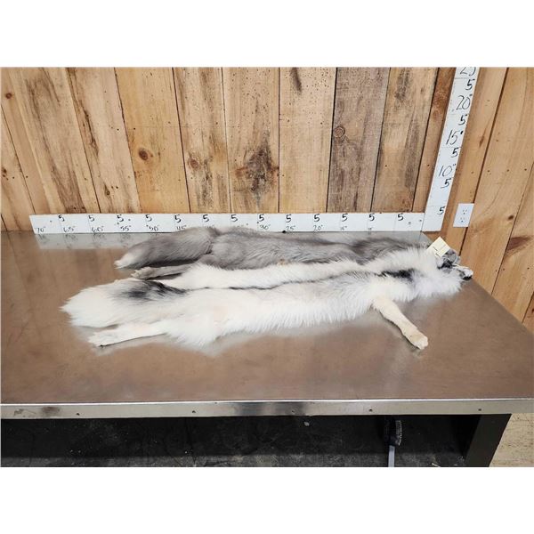 2 Ranch Fox Soft Tanned Furs