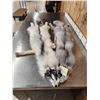 Image 3 : 2 Ranch Fox Soft Tanned Furs