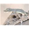 Image 5 : Baby Alligator Full Body Taxidermy Mount