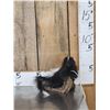Image 1 : Baby Skunk Relaxing On Driftwood Taxidermy