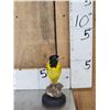 Image 3 : Black Hooded Oriole Full Body Bird Taxidermy