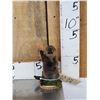 Image 1 : Baby Beaver Full Body Taxidermy Mount