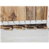 Image 1 : 4 Alligator Heads Taxidermy