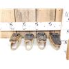 Image 2 : 4 Alligator Heads Taxidermy