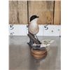Image 5 : Azure Winged Magpie Full Body Bird Taxidermy