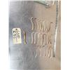 Image 1 : 24 Raccoon Baculums & 1 Otter Penis Bones