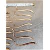 Image 2 : 24 Raccoon Baculums & 1 Otter Penis Bones