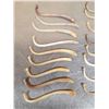Image 4 : 24 Raccoon Baculums & 1 Otter Penis Bones