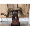 Image 2 : Bronze Sheep Skull On Stand