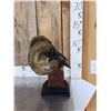 Image 3 : Bronze Sheep Skull On Stand