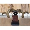 Image 8 : Bronze Sheep Skull On Stand
