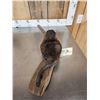 Image 5 : FAT Muskrat Relaxing On Driftwood Taxidermy