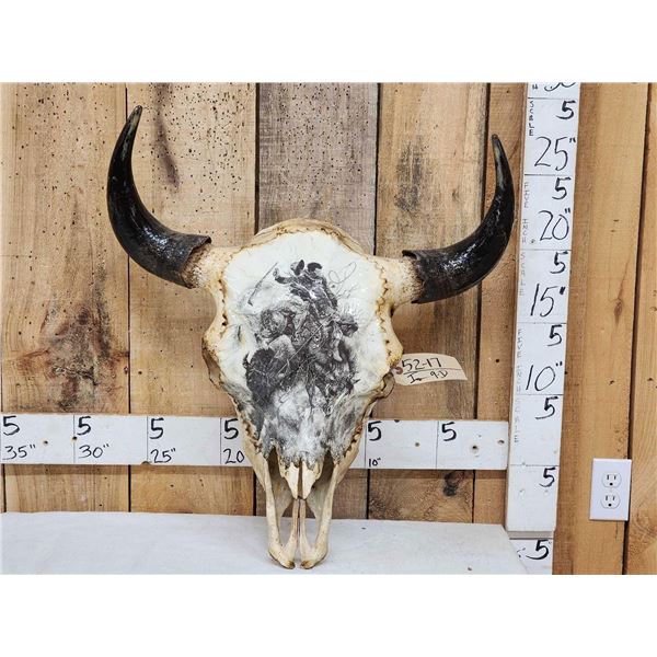 Big American Bison Buffalo Decorated Skull Taxidermy