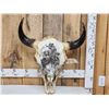 Image 1 : Big American Bison Buffalo Decorated Skull Taxidermy